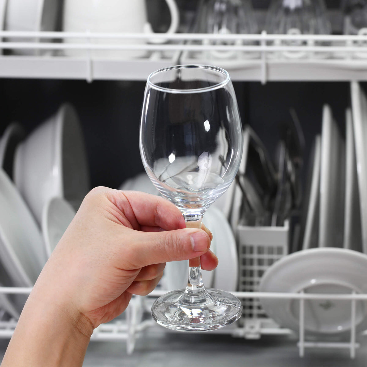 Instapure Scale and Lime Guard Dishwasher Filter